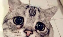 微笑，其实并不难