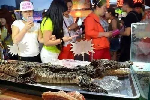 美食微游