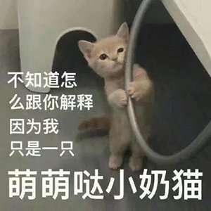 你有尊严，我没有底线