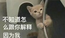 有尊严的你，无底线的我