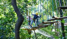 飞越丛林探险乐园