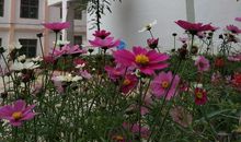 初中作文校园一景