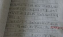 关于抄袭的作文