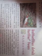 谁的报纸先分裂了