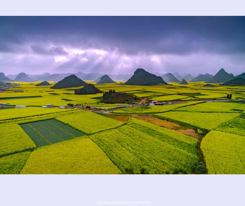 美丽的春天郊游