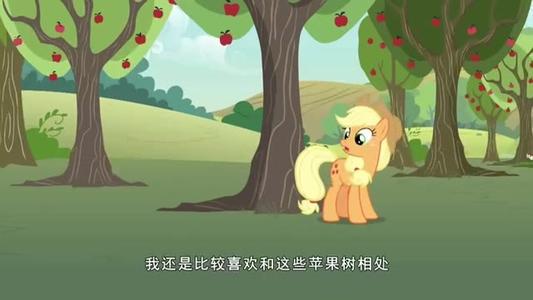 我爱桃子