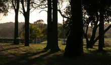 那一次，我与孔雀相遇