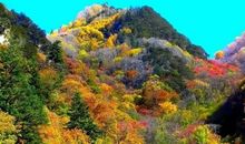 缤纷多彩的秋天