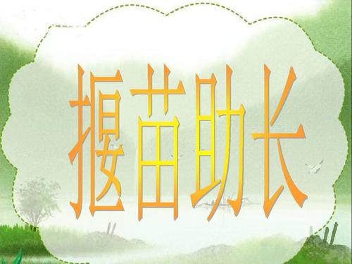 “微苗助成长”的延续