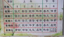 一次有趣的试听课