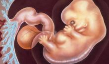 那个喜欢吃辣的女孩