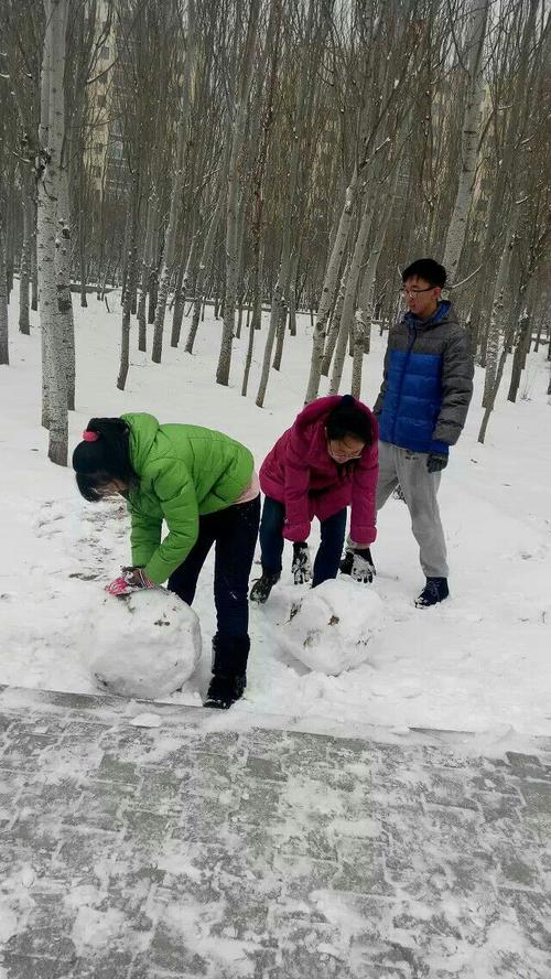 关于打雪仗的有趣事实