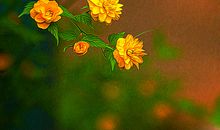 我最欣赏的从容