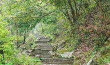 漫漫体育登山路