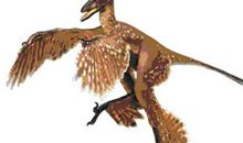 读《侏罗纪龙鸟》有感