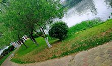 独处的欢乐时光