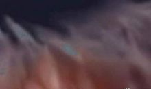 在尝试中走向成功