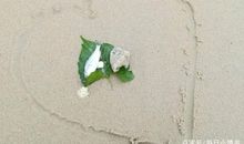 我要成为一个有爱心的人