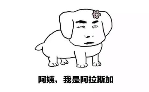 开个玩笑