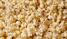 阳光下的爆米花