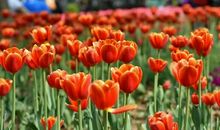 有一种美叫用心生活