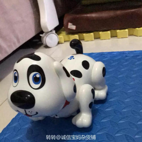 我的小狗朋友和我愚蠢