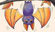 我的邻居——蝙蝠