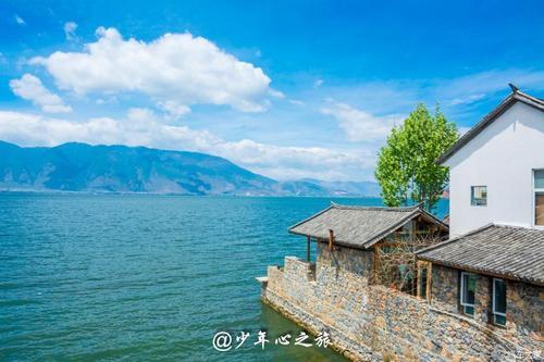 风真好