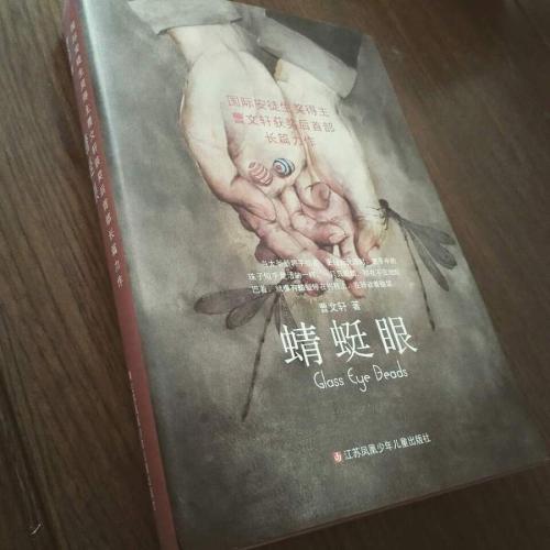 阅读《蜻蜓之眼》后的感想