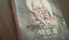 读《蜻蜓眼》有感