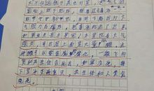 观察树叶的作文