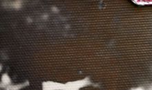 姥爷我心中的男神