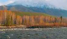 我是大自然的风