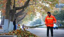 劳动带来的美丽