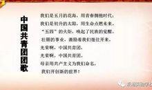 桃李不忘根的情