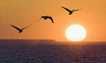 其实，友谊从未走远