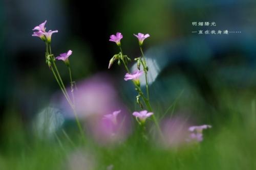 雨落在街上时我想到了你