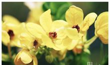 阳光明媚的一天