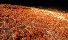 走好生命的旅程