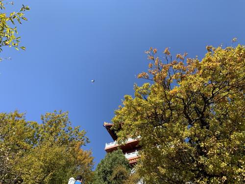 美丽的五台森林公园