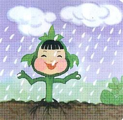 幼树的故事