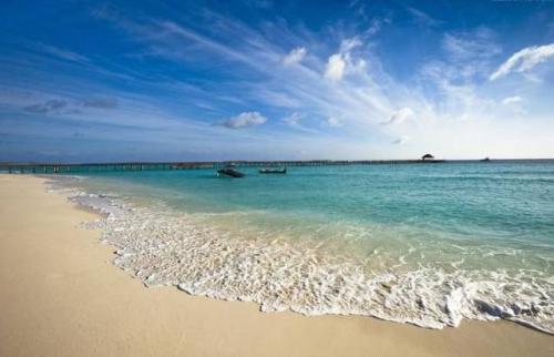 夏天的海