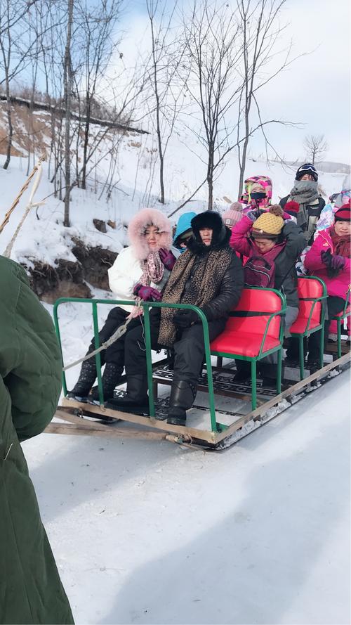 在雪中看到真相