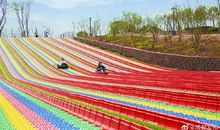 我的“田园王国”