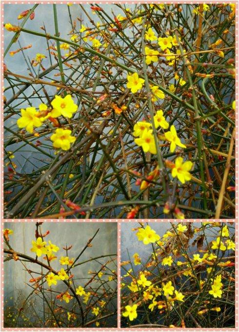 春节