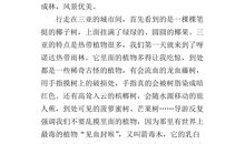 一段什么的旅程作文600字