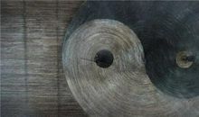 凝视那跌入泥泞的翅