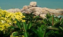 芽庄五指岩游记