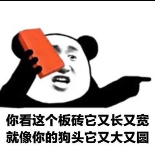 请理解我