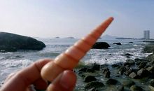 时光不老友情不散